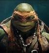 HeroTurtle